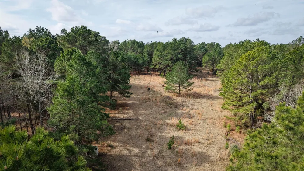 39 County Road 122 Centerville, TX 75833