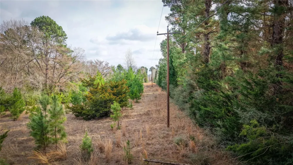 39 County Road 122 Centerville, TX 75833