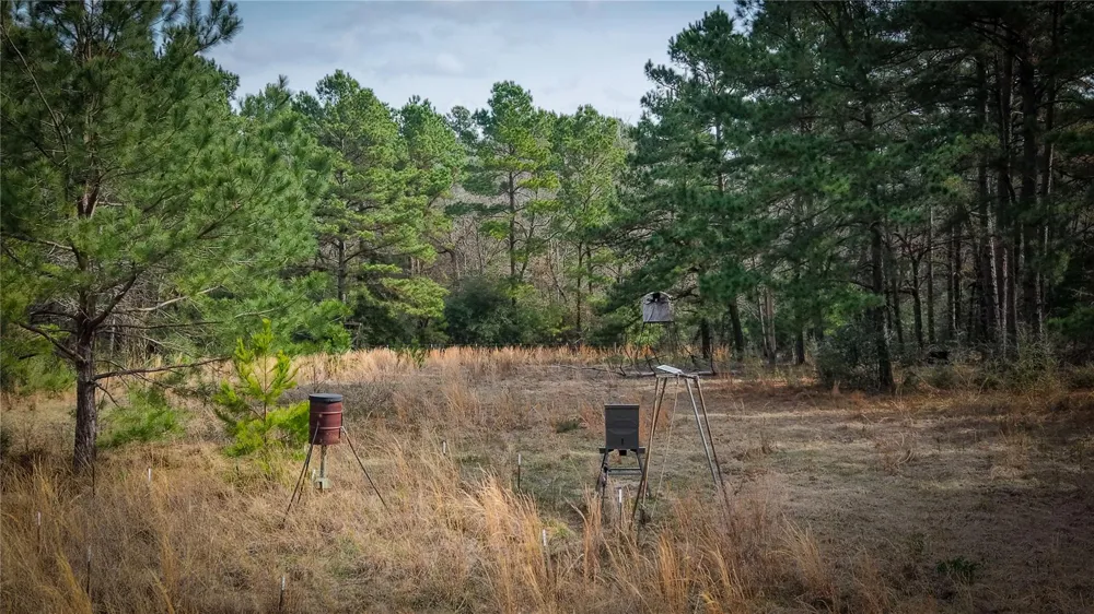 39 County Road 122 Centerville, TX 75833