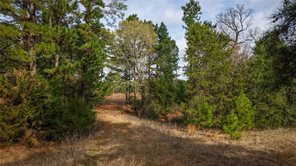 39 County Road 122 Centerville, TX 75833