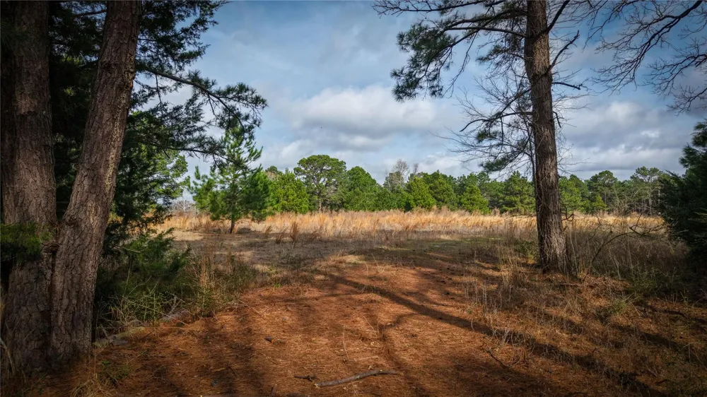 39 County Road 122 Centerville, TX 75833