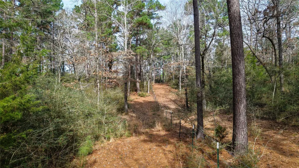 39 County Road 122 Centerville, TX 75833