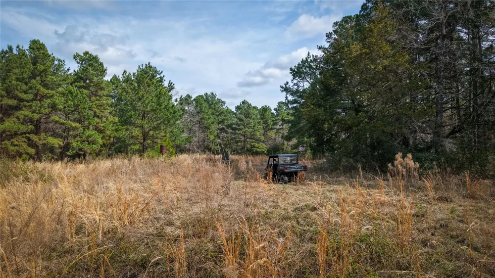 39 County Road 122 Centerville, TX 75833