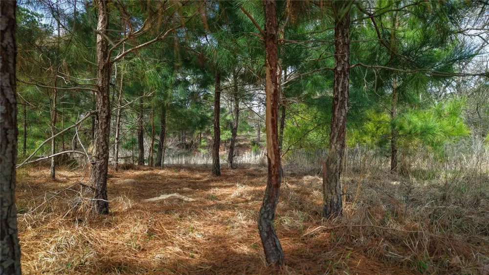 39 County Road 122 Centerville, TX 75833