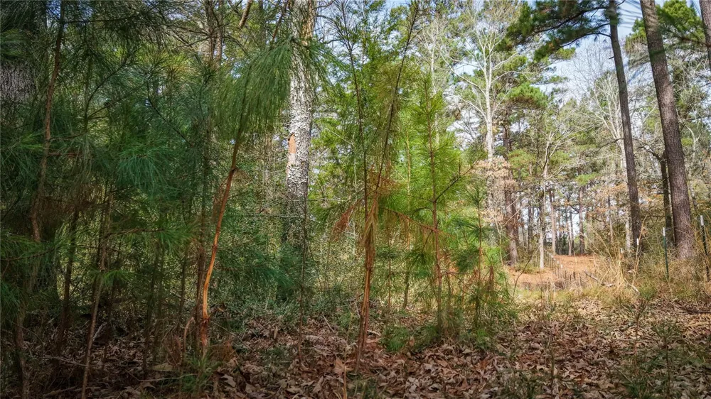 39 County Road 122 Centerville, TX 75833
