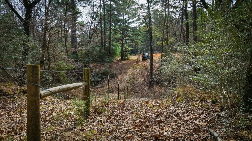 39 County Road 122 Centerville, TX 75833