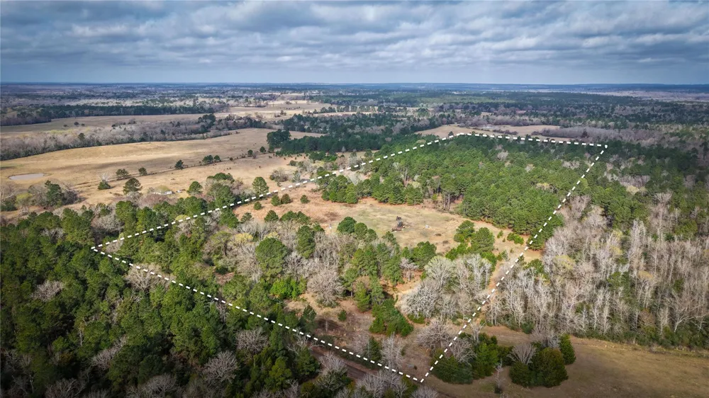 39 County Road 122 Centerville, TX 75833