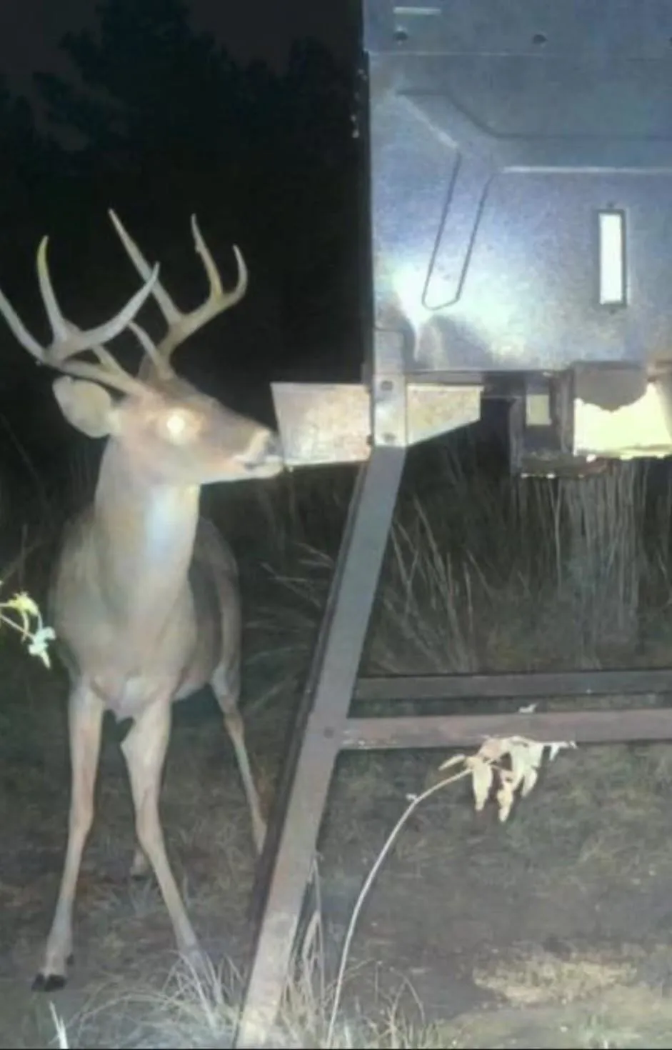 39 County Road 122 Centerville, TX 75833
