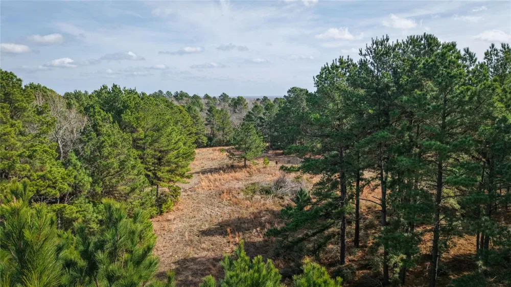 39 County Road 122 Centerville, TX 75833