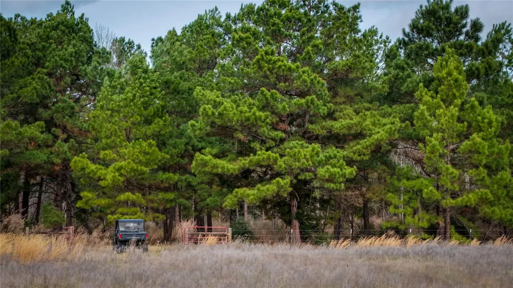 39 County Road 122 Centerville, TX 75833