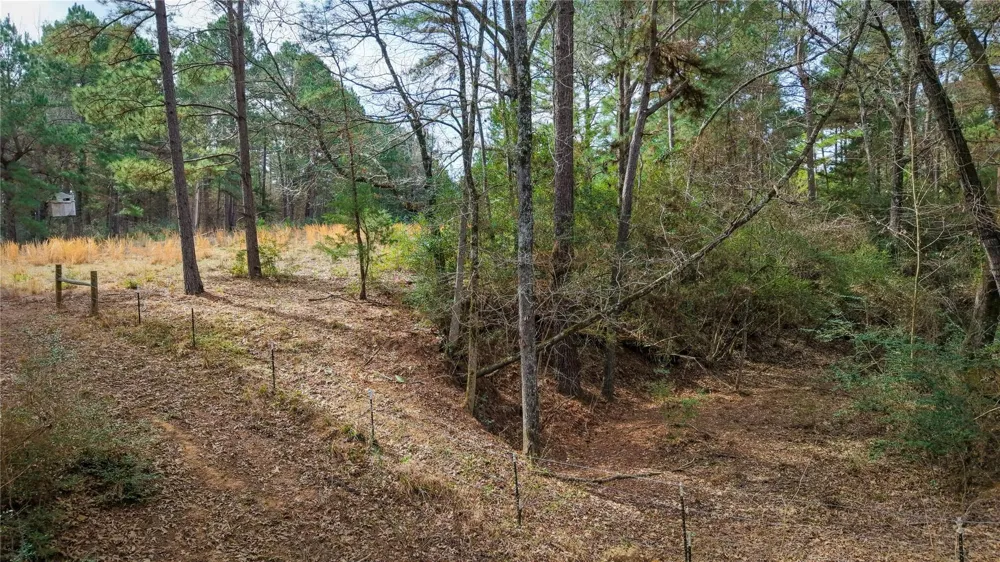 39 County Road 122 Centerville, TX 75833