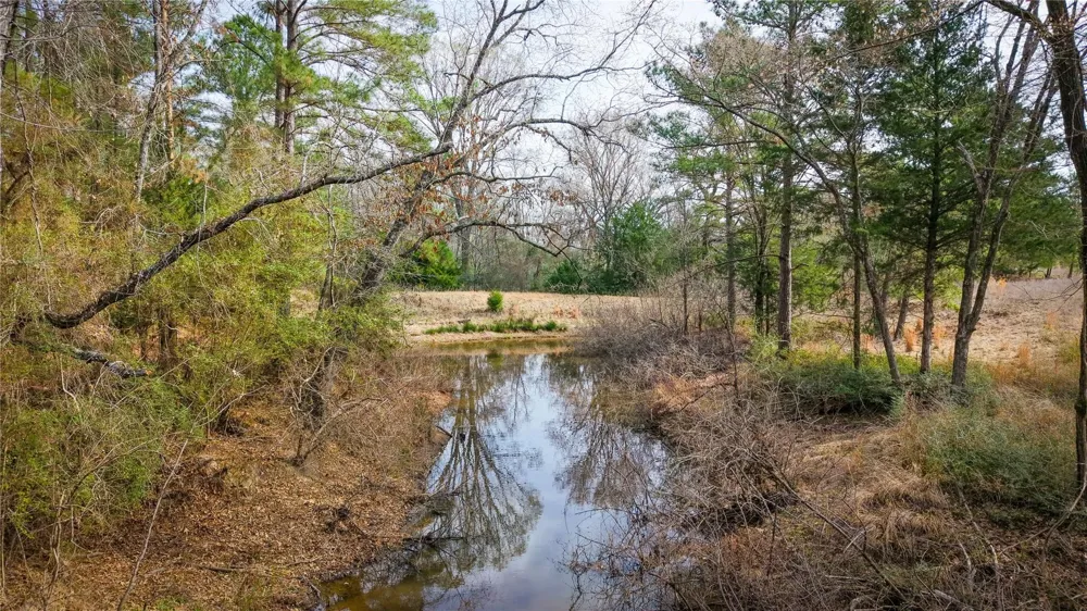 39 County Road 122 Centerville, TX 75833