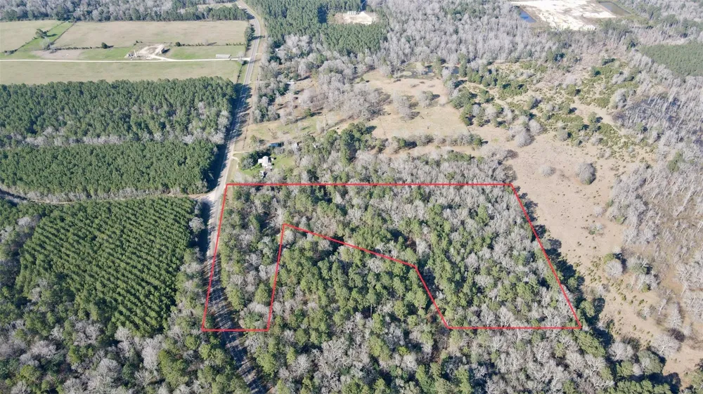 Fm 2798 Livingston, TX 77351