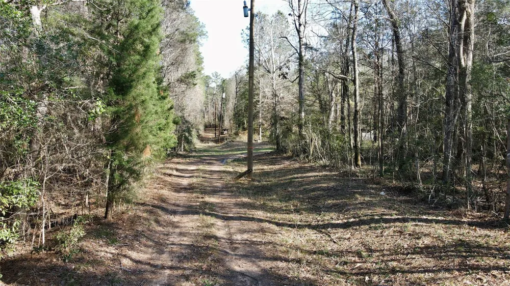 Fm 2798 Livingston, TX 77351