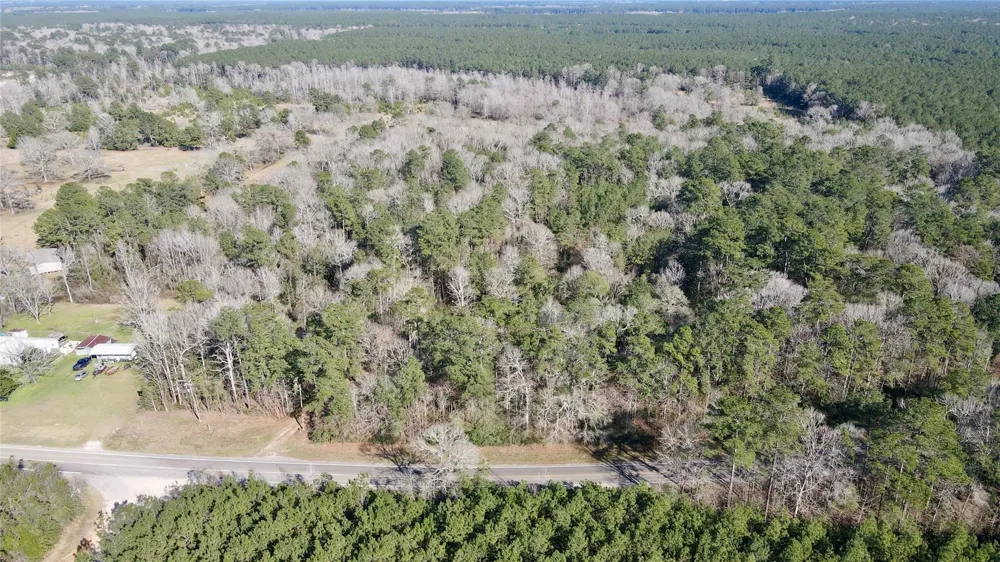 Fm 2798 Livingston, TX 77351