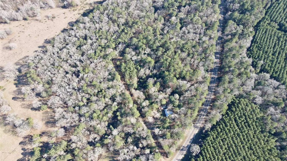 Fm 2798 Livingston, TX 77351