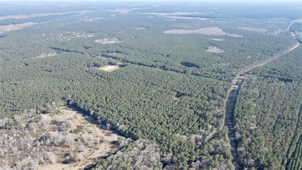 Fm 2798 Livingston, TX 77351