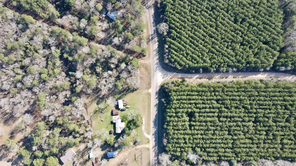 Fm 2798 Livingston, TX 77351