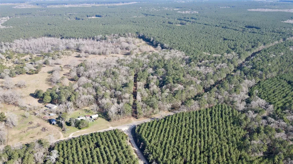 Fm 2798 Livingston, TX 77351
