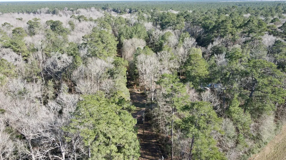 Fm 2798 Livingston, TX 77351