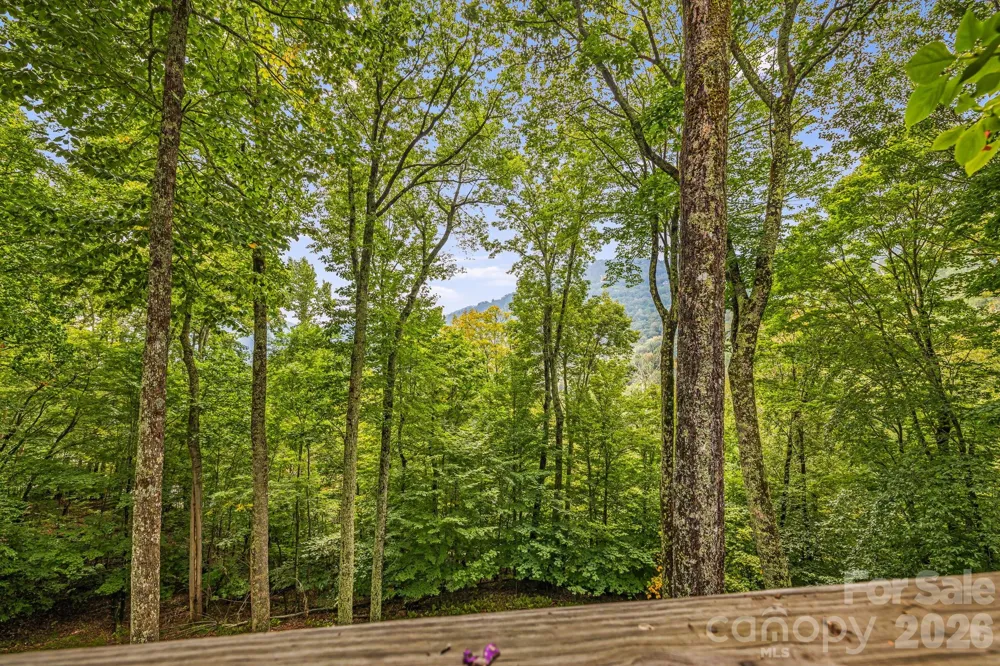 215 Goldenleaf Road Mars Hill, NC 28754