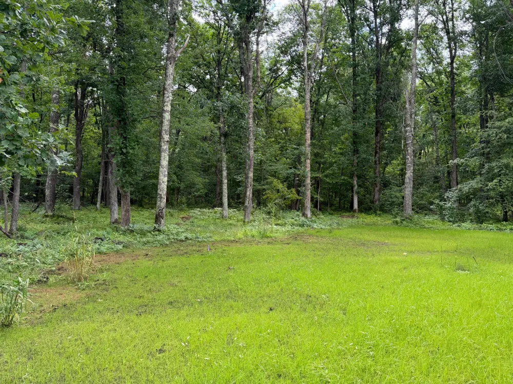 35662 Bonnie Lakes Road Crosslake, MN 56442