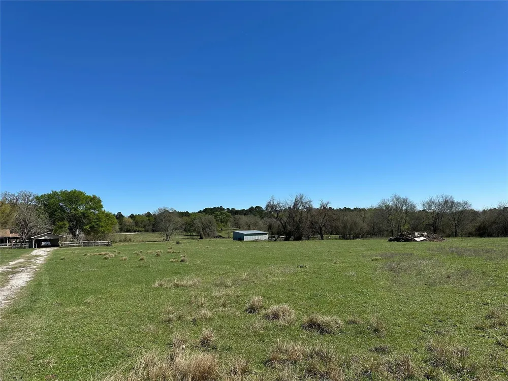 20136 Moriarty Road Richards, TX 77873