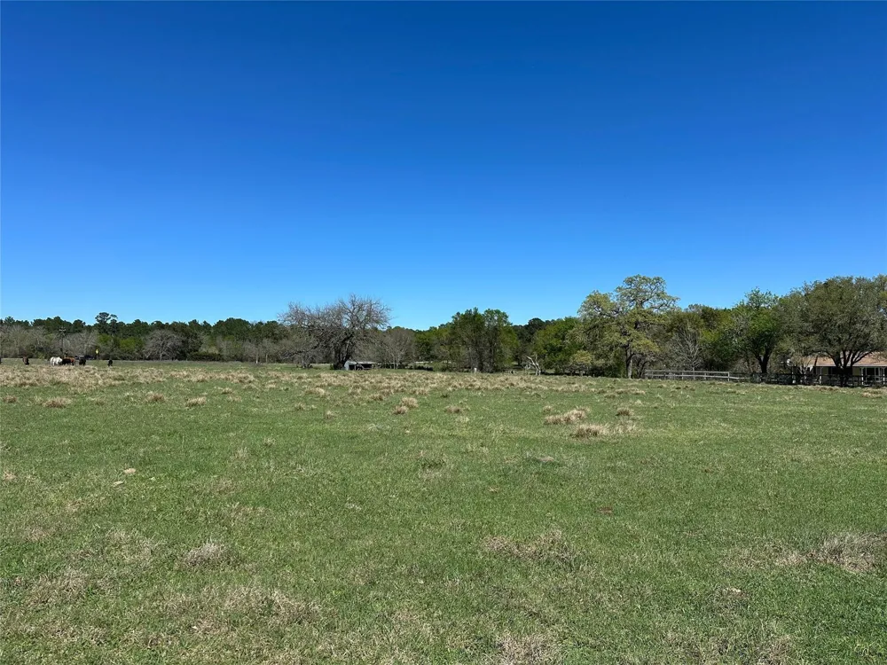 20136 Moriarty Road Richards, TX 77873