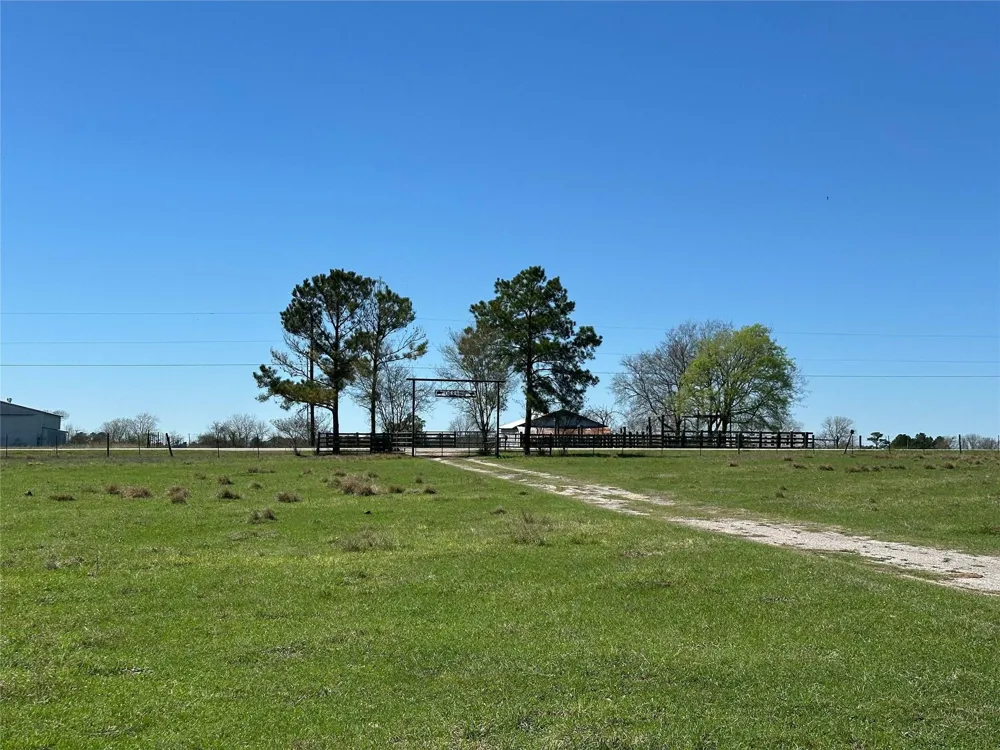 20136 Moriarty Road Richards, TX 77873