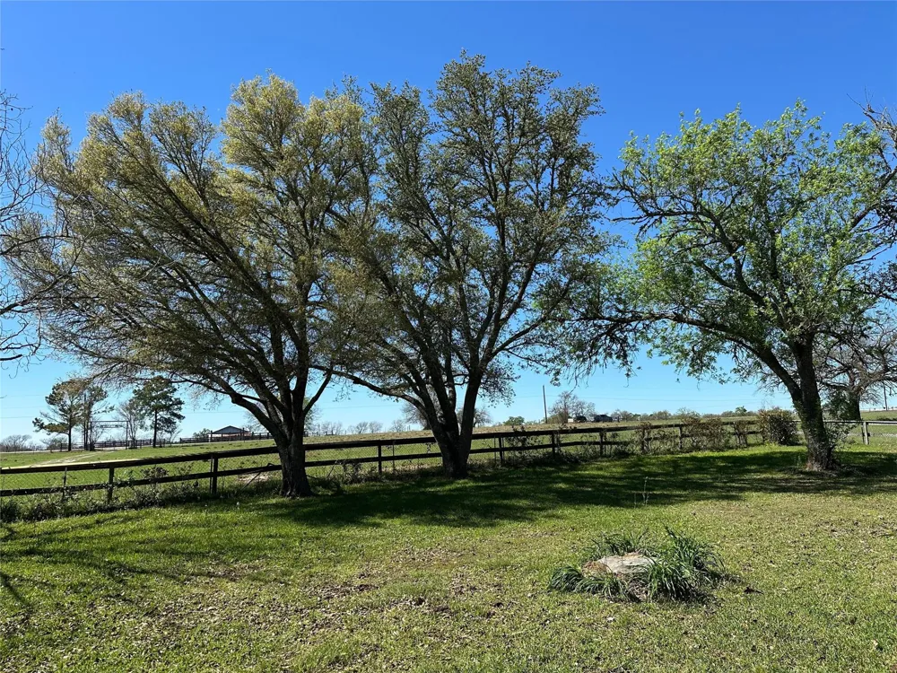 20136 Moriarty Road Richards, TX 77873