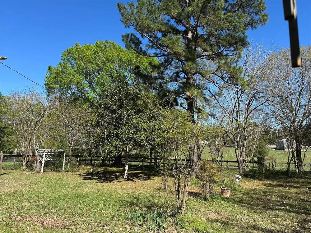 20136 Moriarty Road Richards, TX 77873