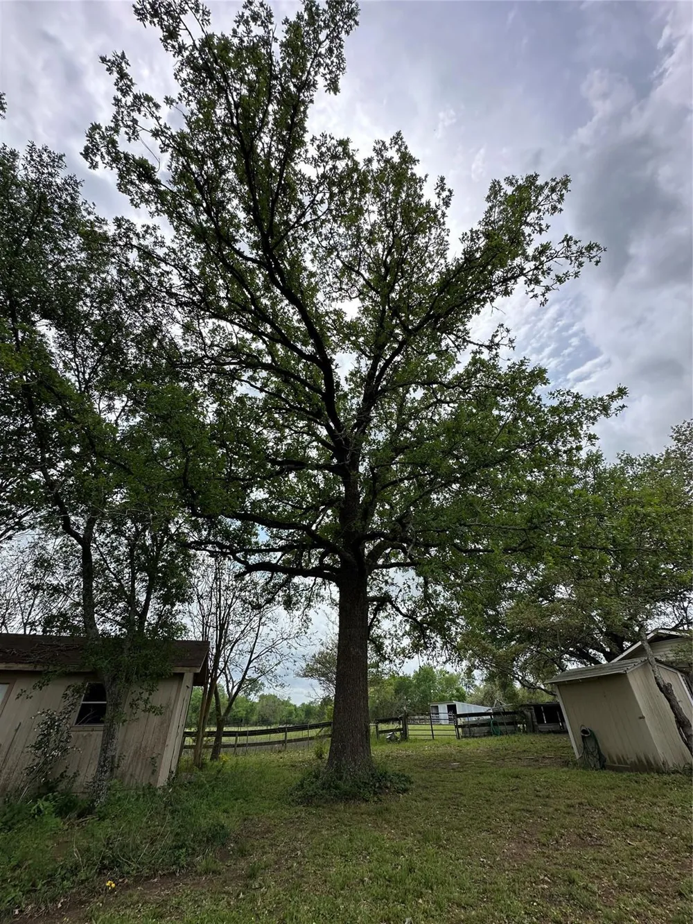 20136 Moriarty Road Richards, TX 77873