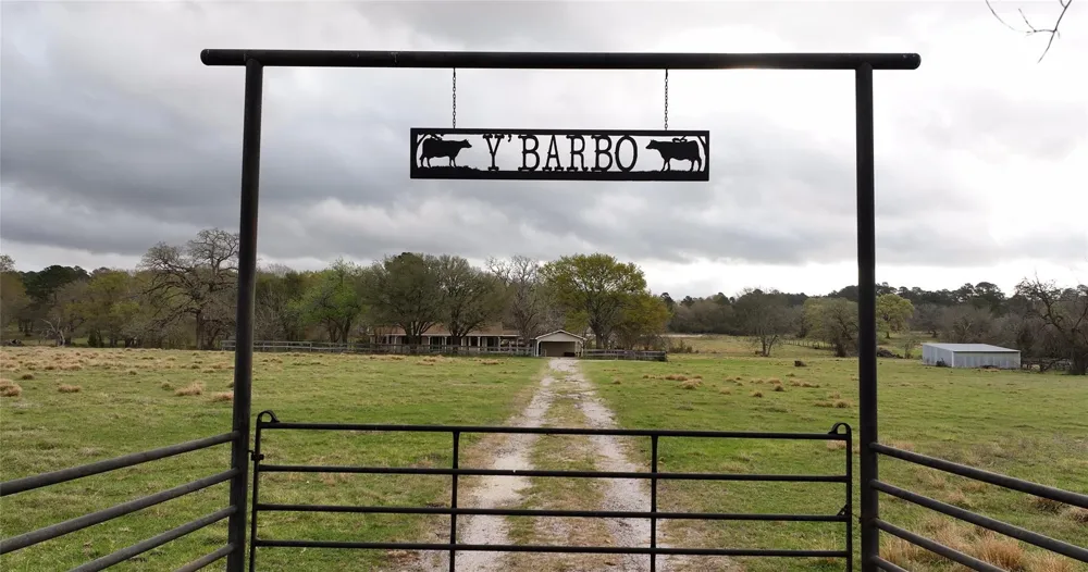 20136 Moriarty Road Richards, TX 77873