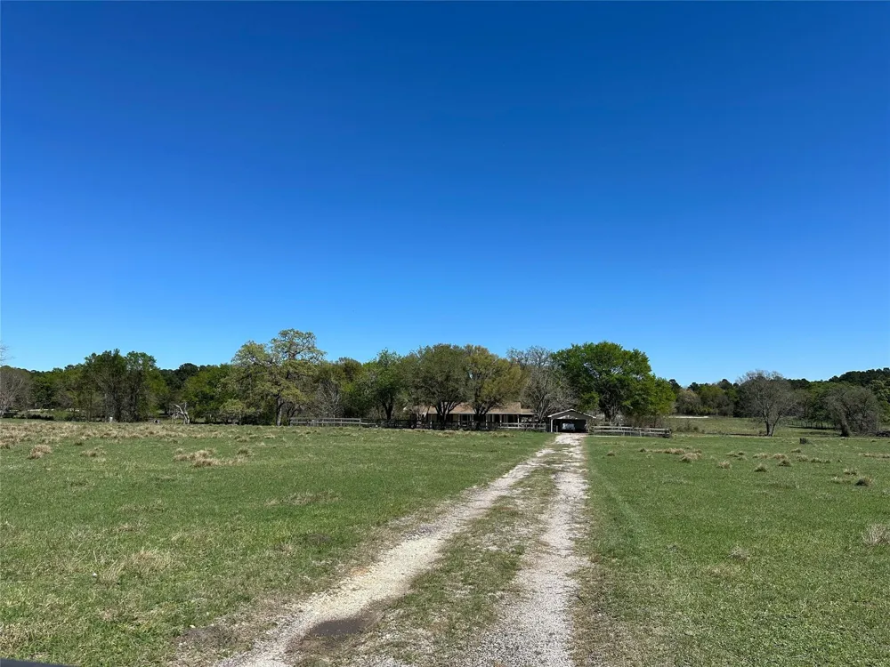 20136 Moriarty Road Richards, TX 77873