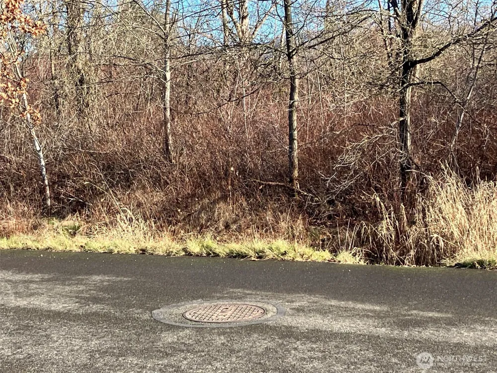 0 xx 266th Avenue SE Enumclaw, WA 98022