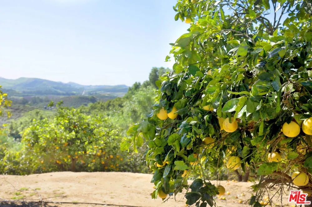 8018 Balcom Canyon Road Somis, CA 93066