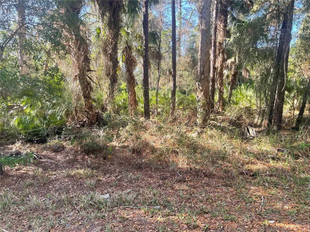 1120 NE 3RD STREET Crystal River, FL 34429