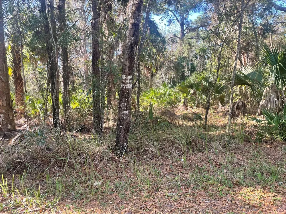 1120 NE 3RD STREET Crystal River, FL 34429