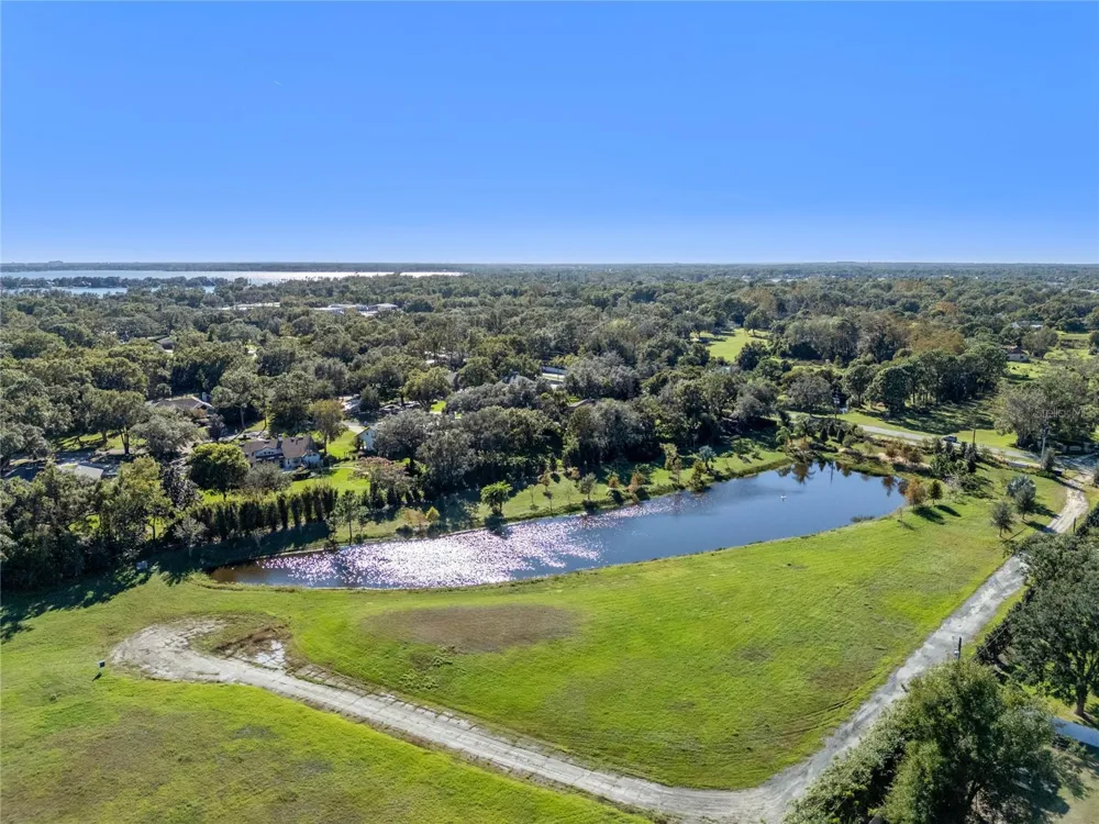 10948 DOWN PARK LANE Windermere, FL 34786