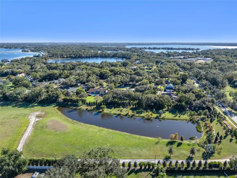 10948 DOWN PARK LANE Windermere, FL 34786