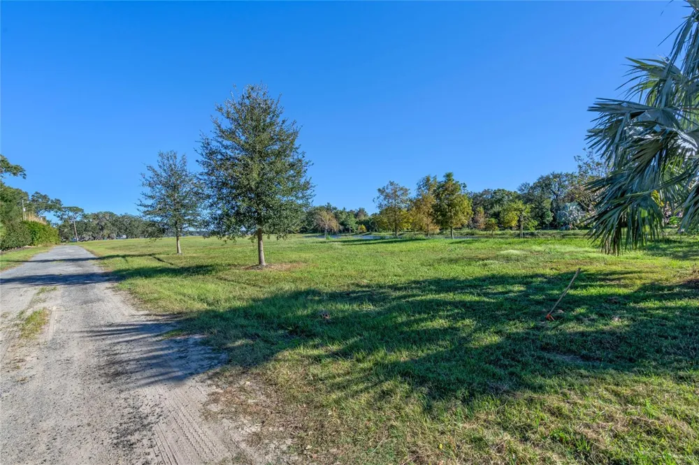 10948 DOWN PARK LANE Windermere, FL 34786