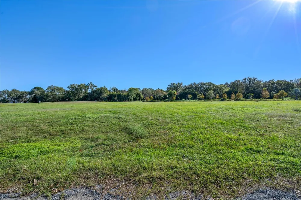 10948 DOWN PARK LANE Windermere, FL 34786