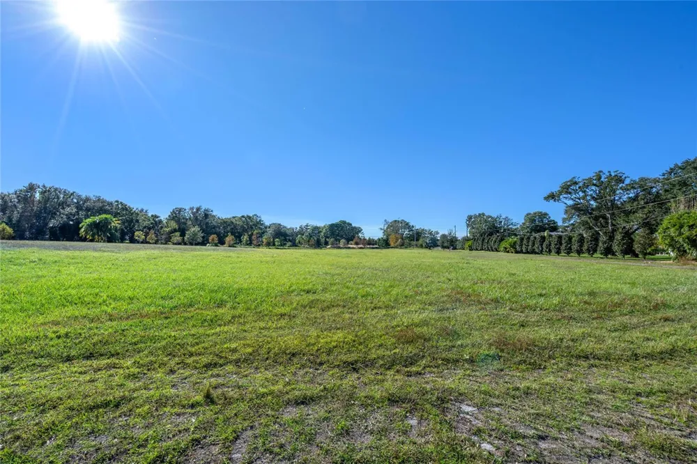 10948 DOWN PARK LANE Windermere, FL 34786