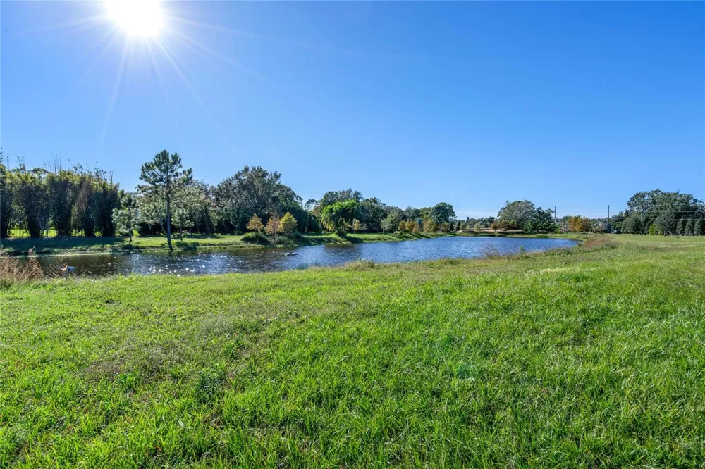 10948 DOWN PARK LANE Windermere, FL 34786