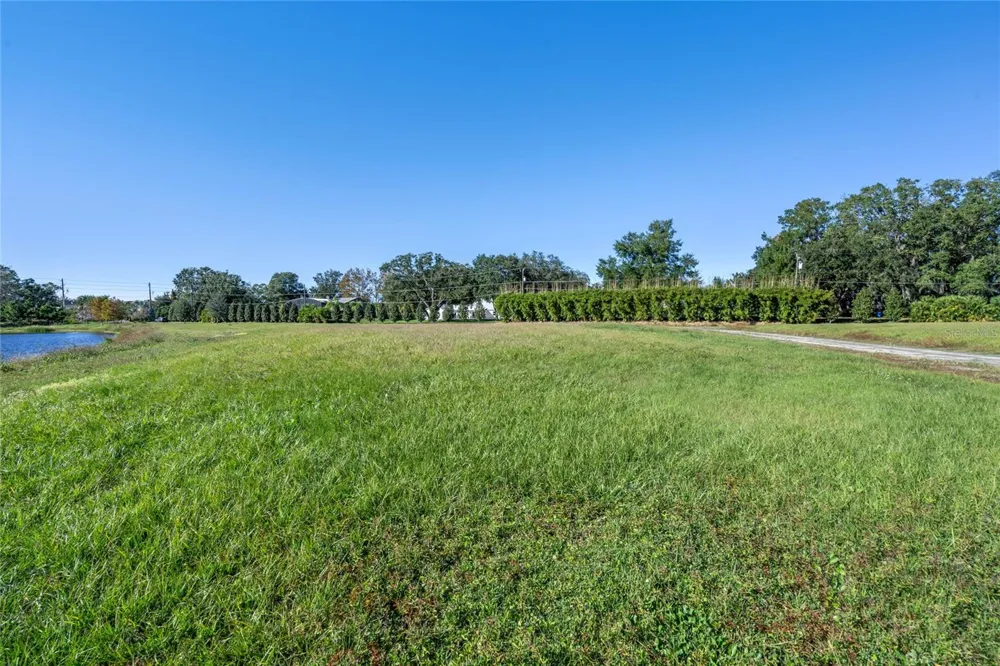 10948 DOWN PARK LANE Windermere, FL 34786