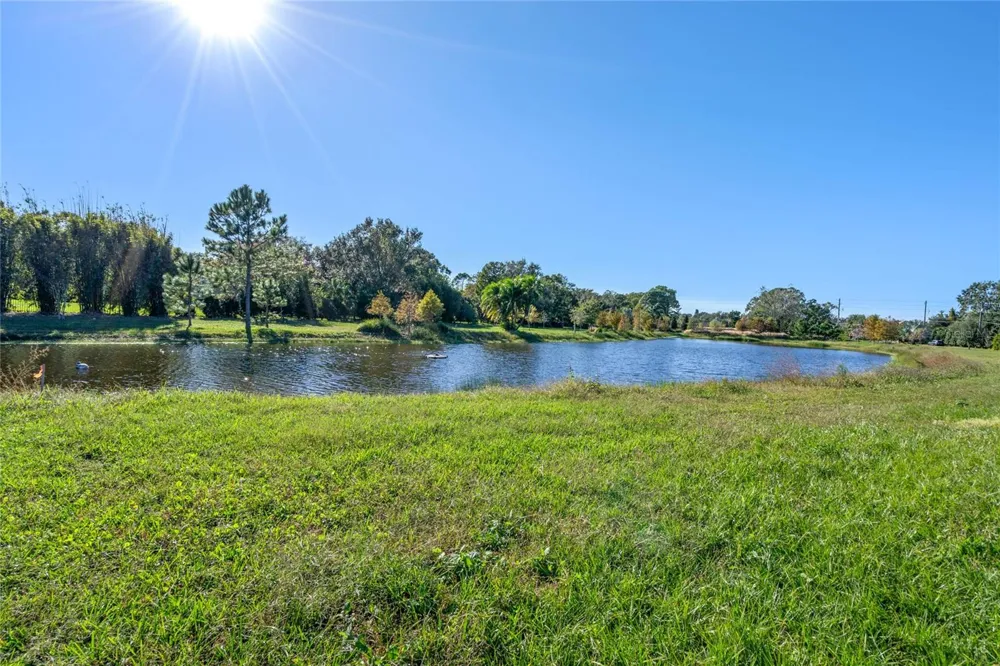 10948 DOWN PARK LANE Windermere, FL 34786