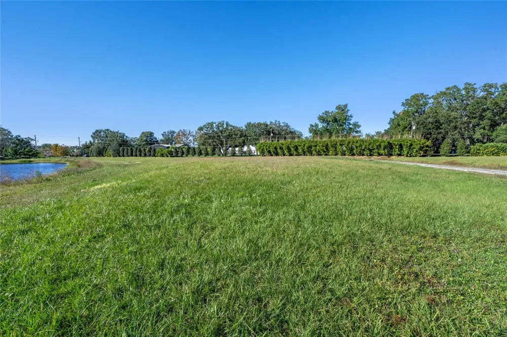 10948 DOWN PARK LANE Windermere, FL 34786