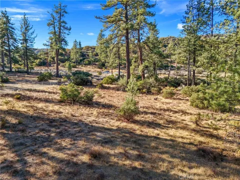 1 Pipe Creek Road