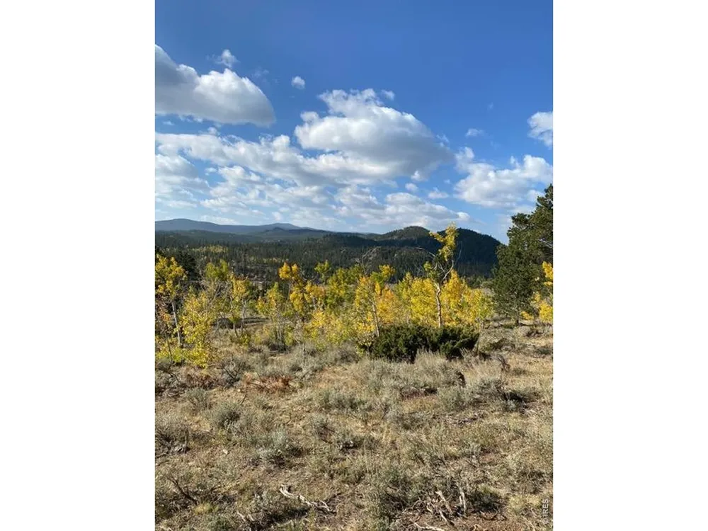 215 Murdock Drive Red Feather Lakes, CO 80545