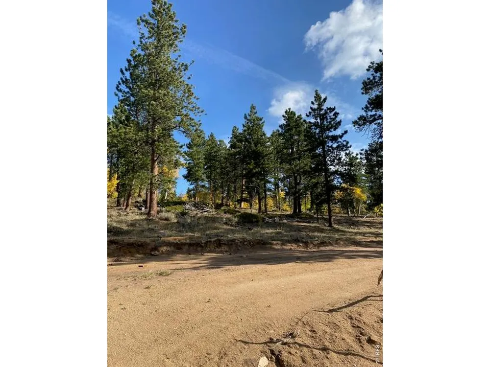 215 Murdock Drive Red Feather Lakes, CO 80545